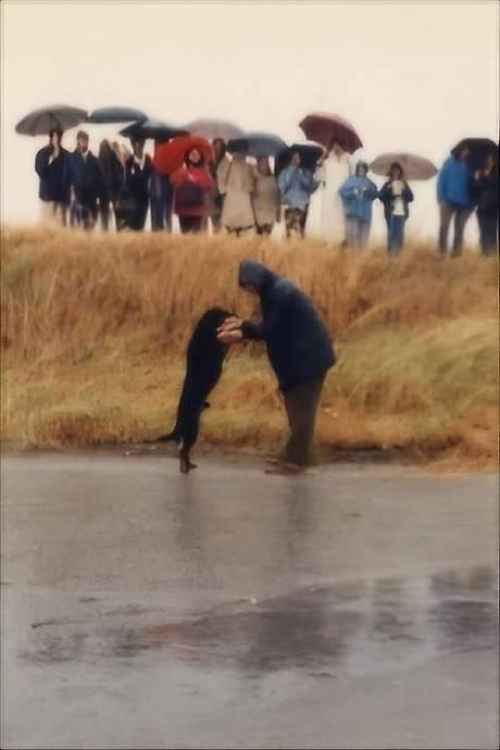 Italian writer Gianni Celati journeys through the Po Delta, the setting of his story collection ‘Verso la foce,’ traveling on a blue bus together with friends and relatives. Renowned photographer Luigi Ghirri, his friend, follows the convoy in a car, documenting the trip.
